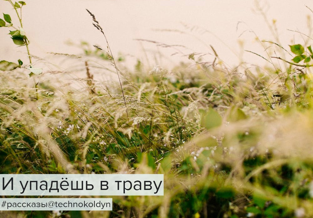 И упадёшь в траву