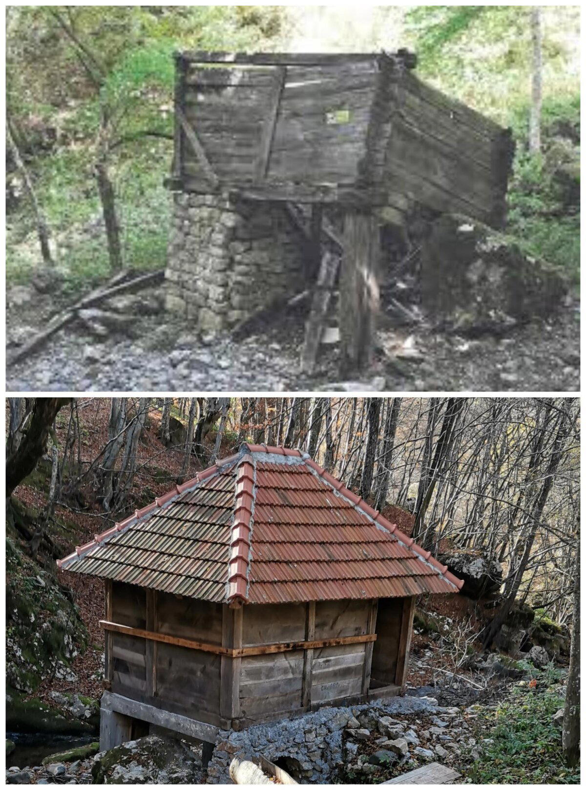 Мельница Савы