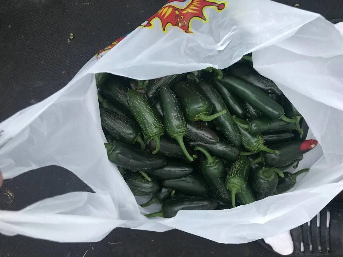 Маринованный Халапеньо