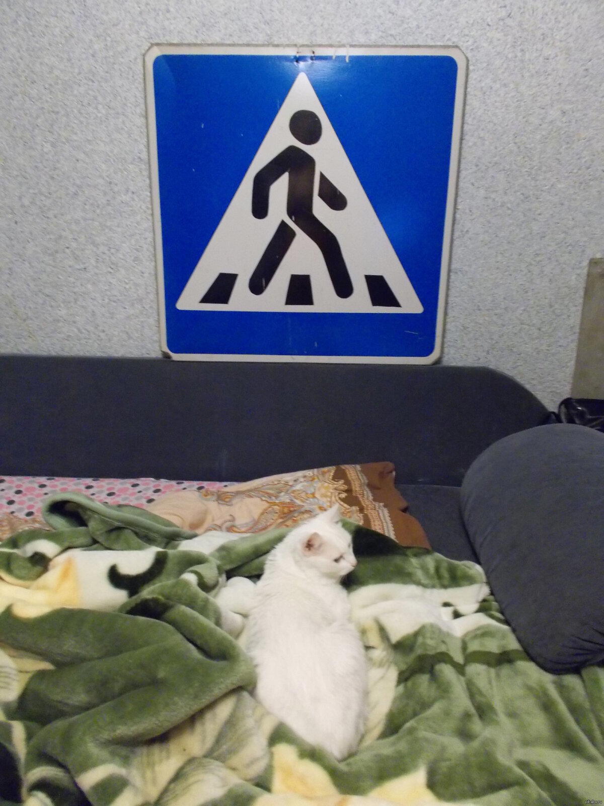 &quot;Я уже перехожу дорогу&quot;