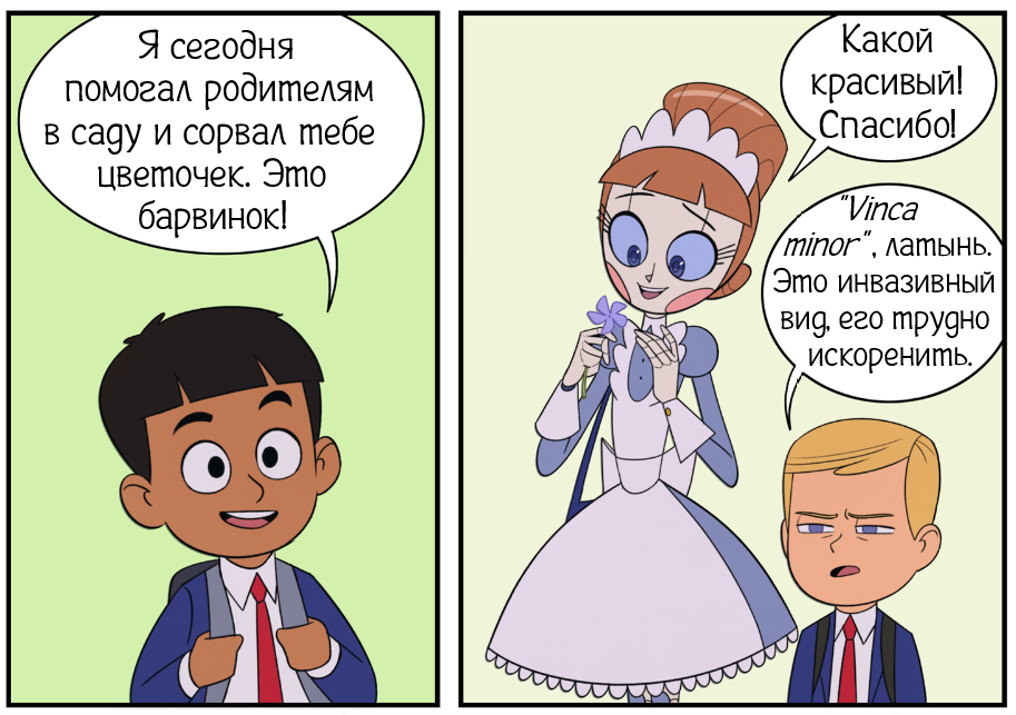 Барвинок. (Не сюжетный выпуск)