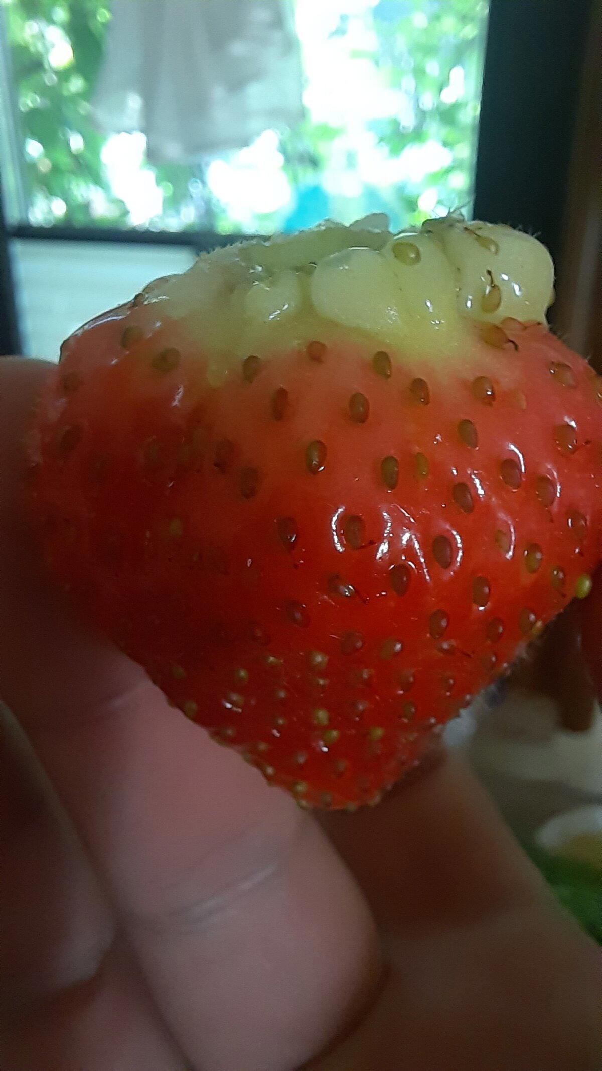 Бунд