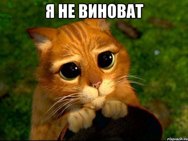 А вы точно режиссер? Или как tttuksa на массаж ходила