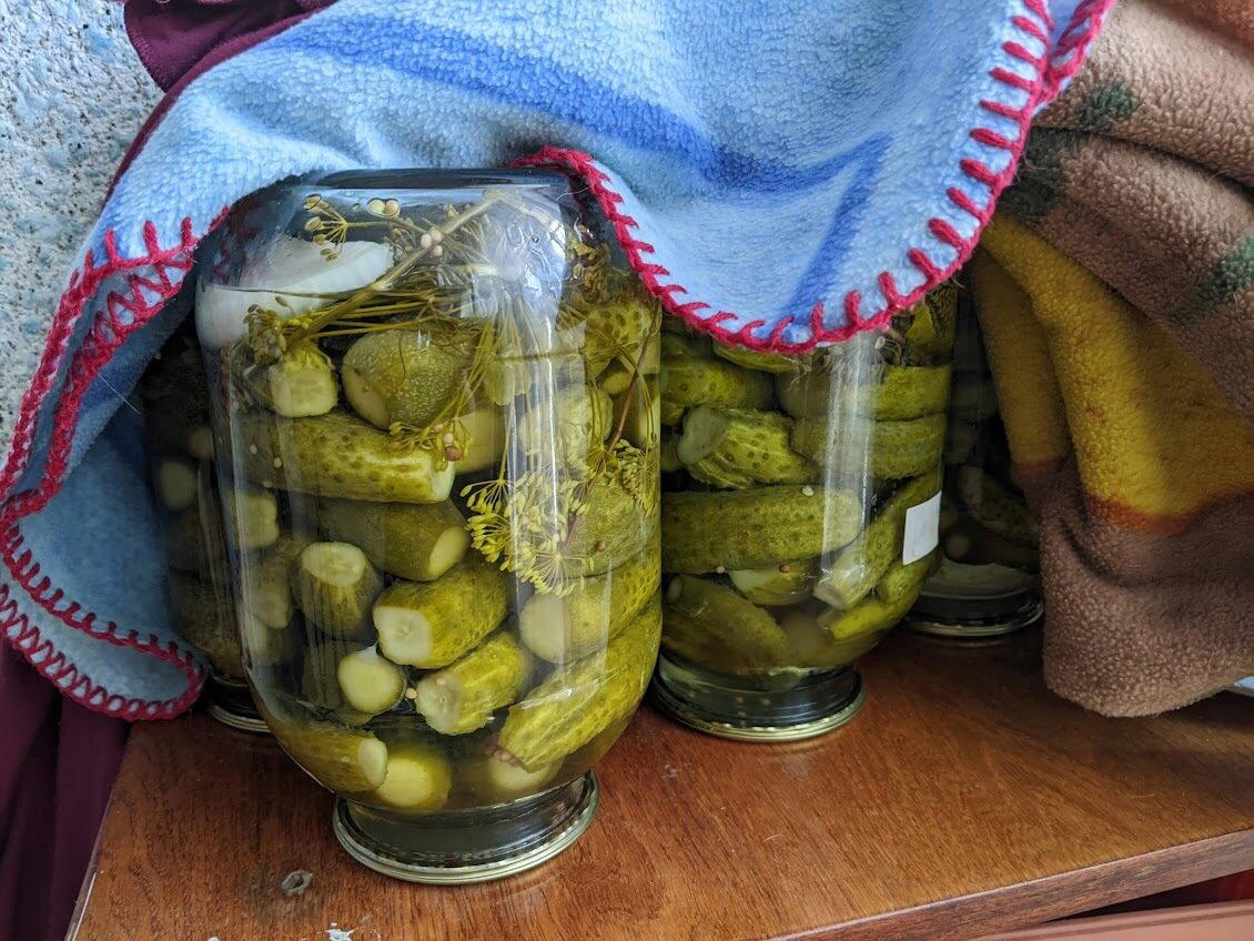 Маринованные огурчики без стерилизации