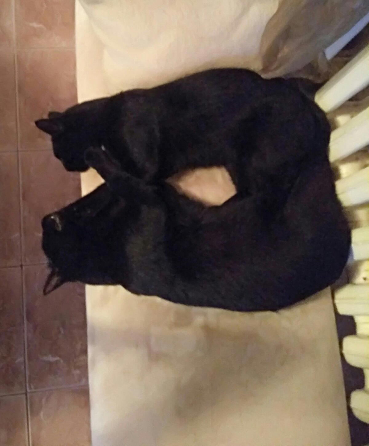Чернота.
