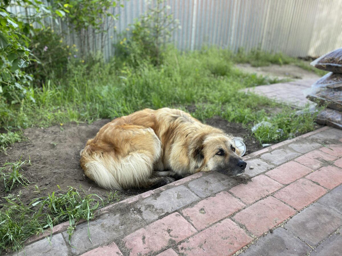 Жизнь это тлен