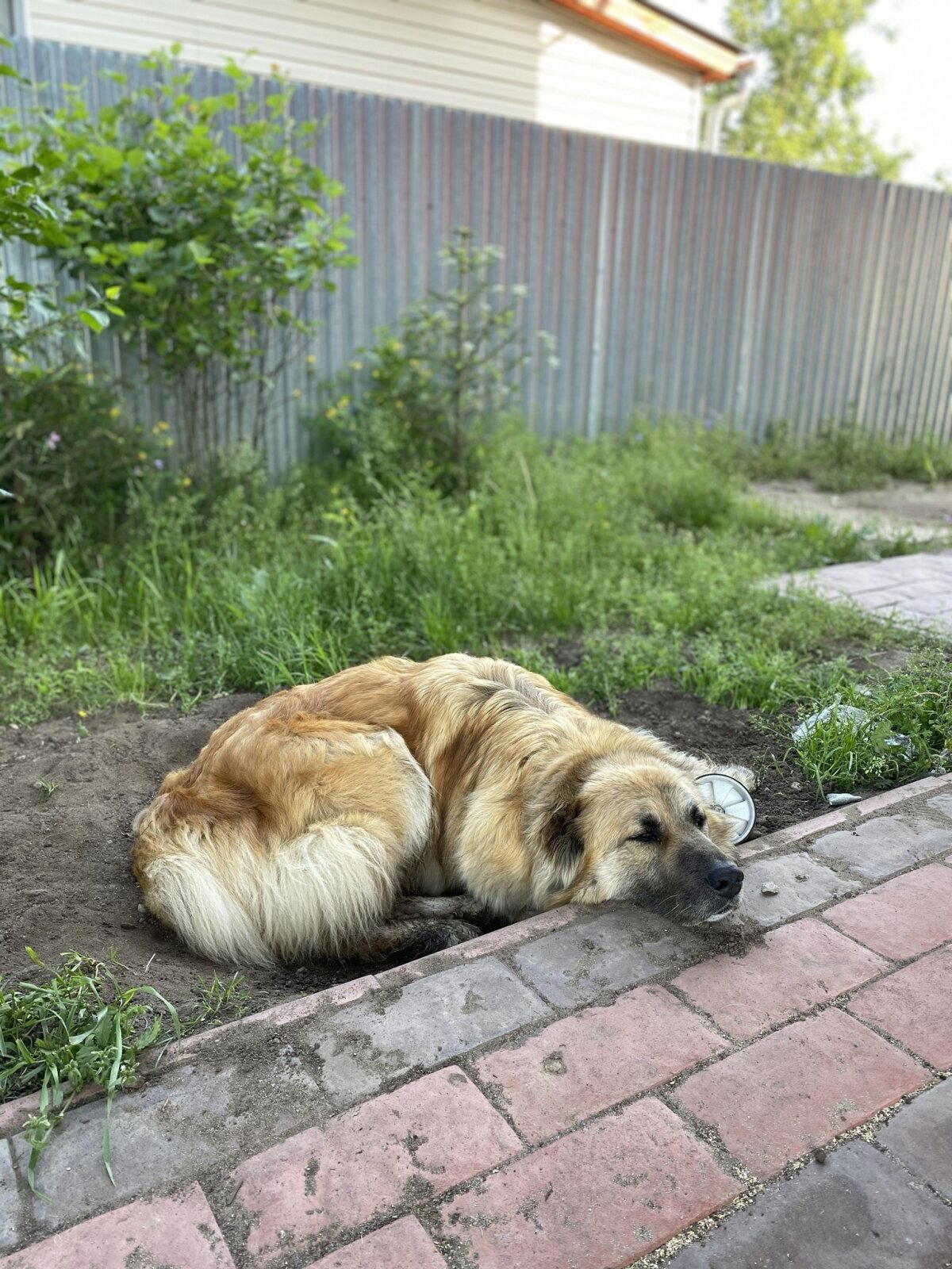 Жизнь это тлен