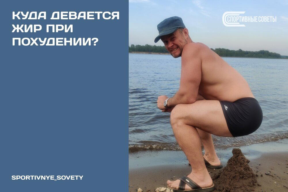 Куда девается жир при похудении?