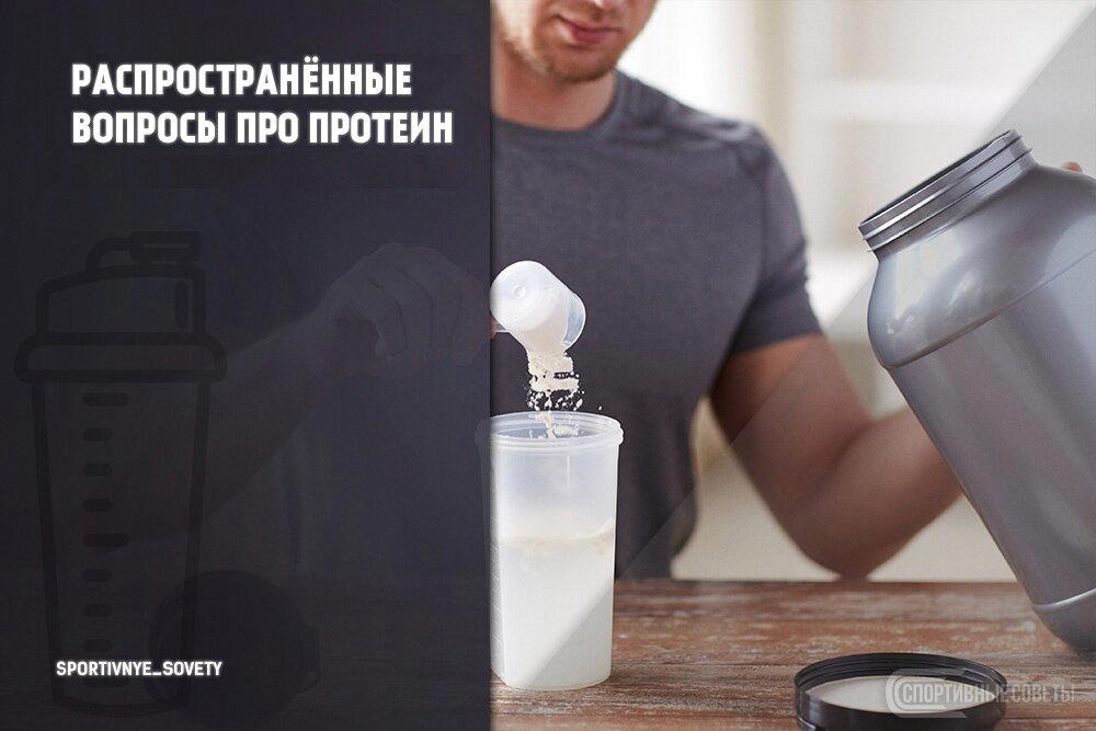 Распространённые вопросы про протеин