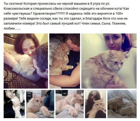 Люди в целом хорошие, но *опой читают они