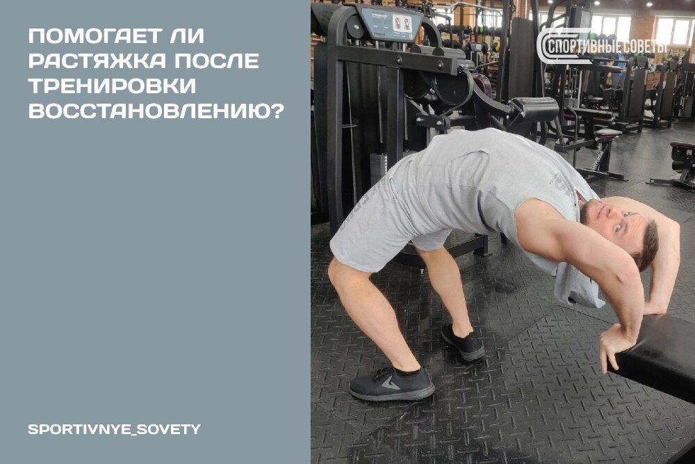 Помогает ли растяжка после тренировки восстановлению?