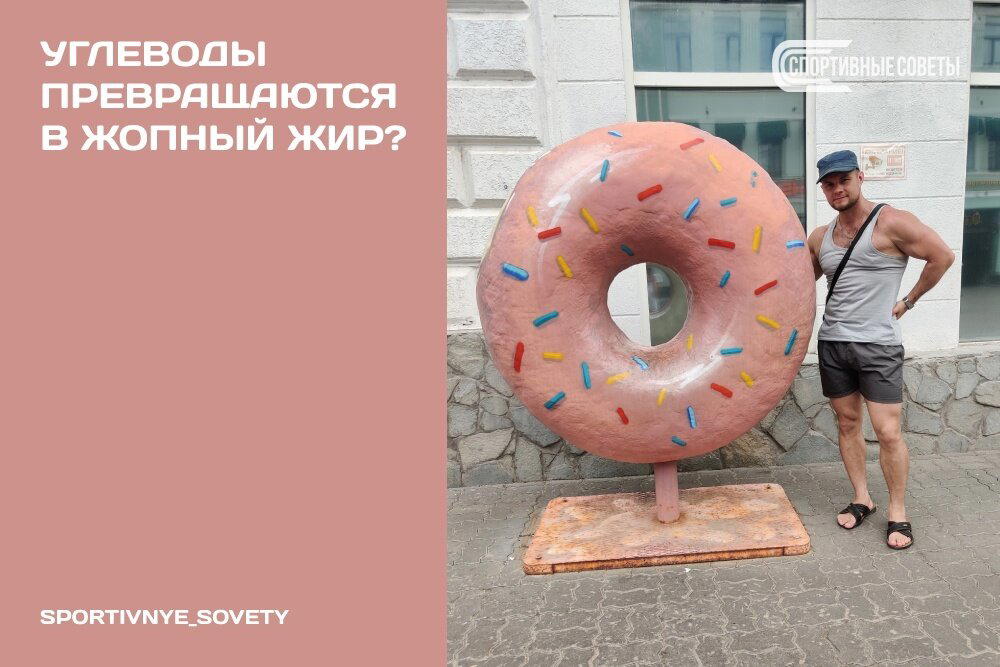 Углеводы превращаются в жопный жир?