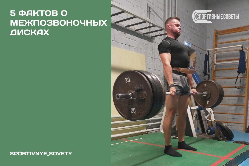 5 фактов о межпозвоночных дисках