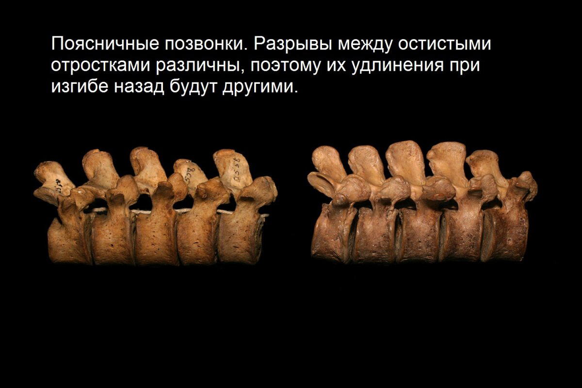 «Идеальная» техника и «лучшие» упражнения у разных людей отличаются