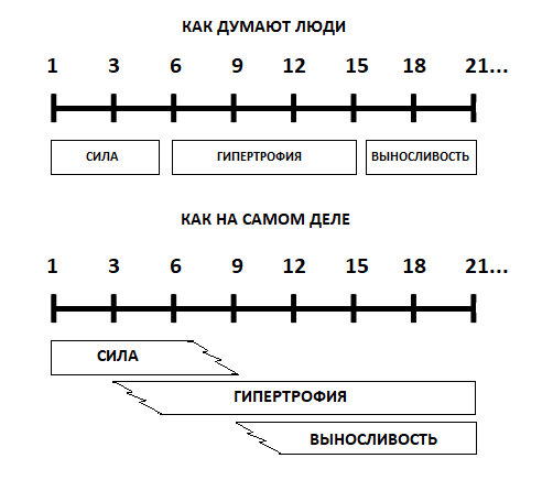 Сколько делать повторений?