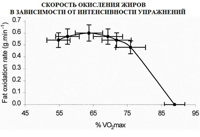Как тратить максимум жиров на тренировке?