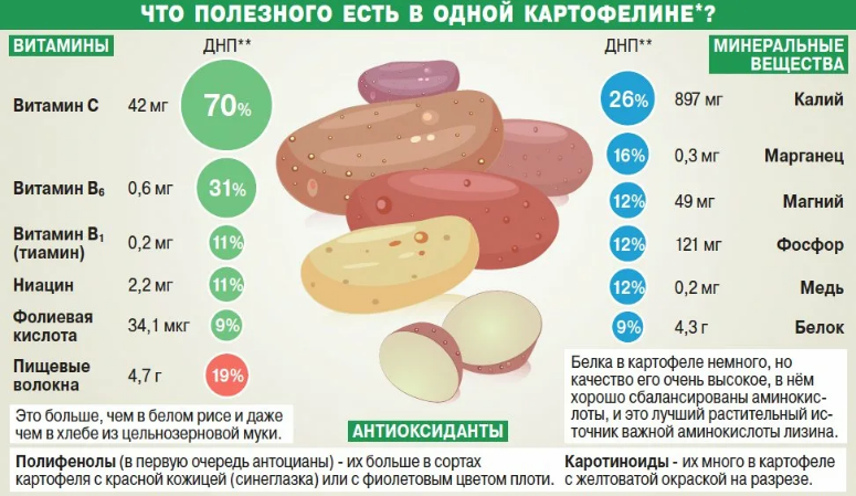 О вреде картофеля