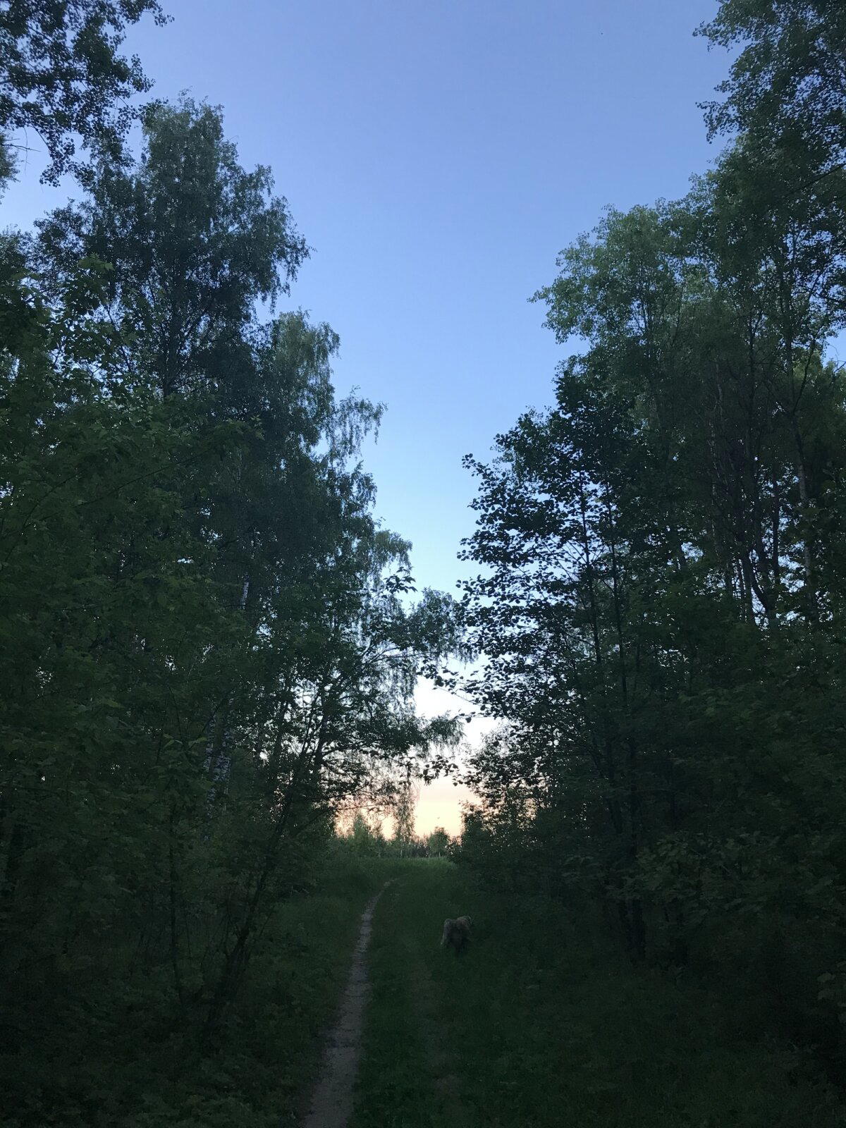 Спонтанная загородная прогулка