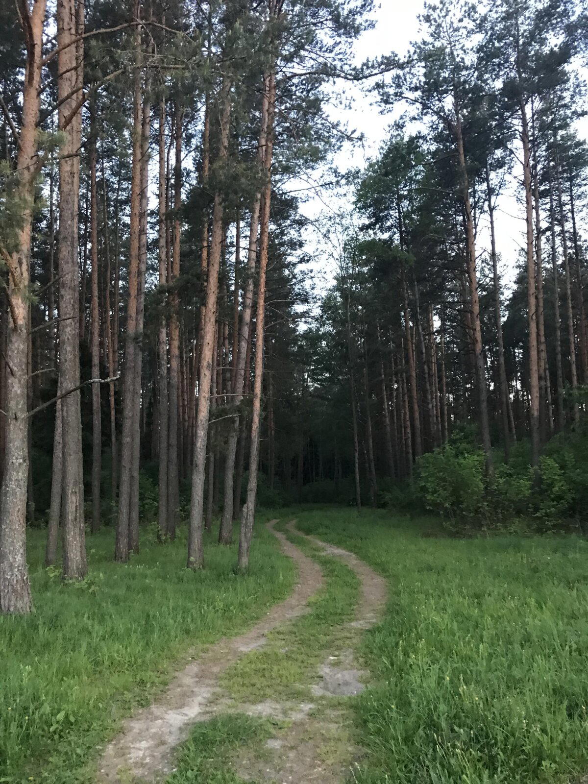 Спонтанная загородная прогулка