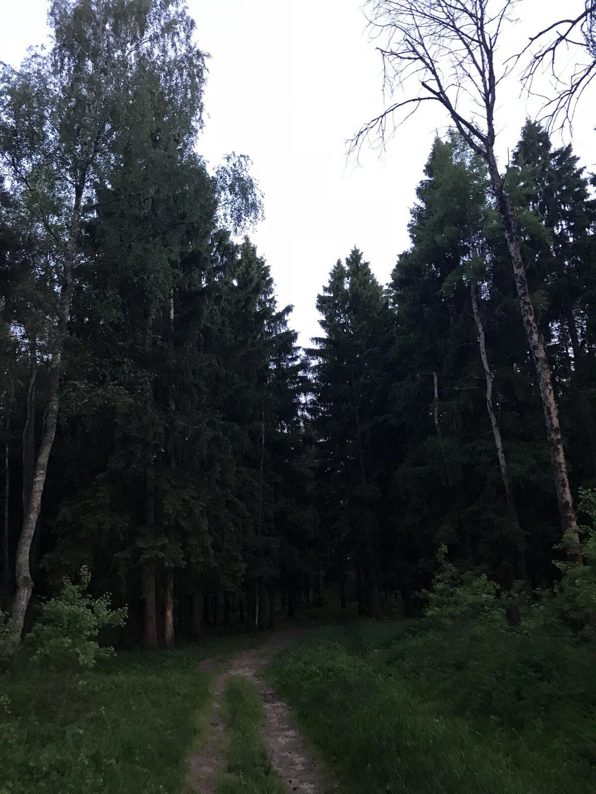 Спонтанная загородная прогулка
