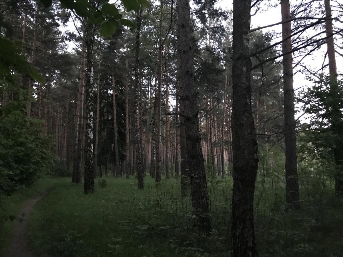 Спонтанная загородная прогулка