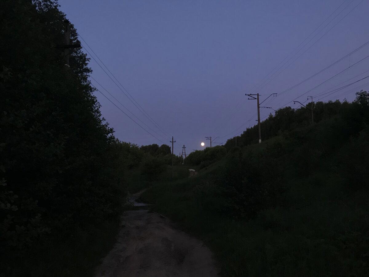 Спонтанная загородная прогулка