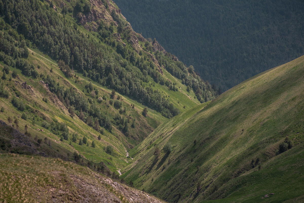 Геометрия