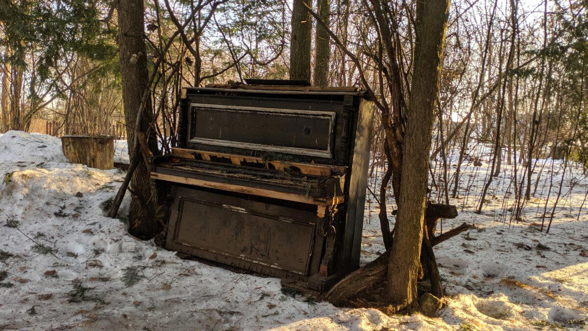 Рояль в кустах (на самом деле фортепиано)