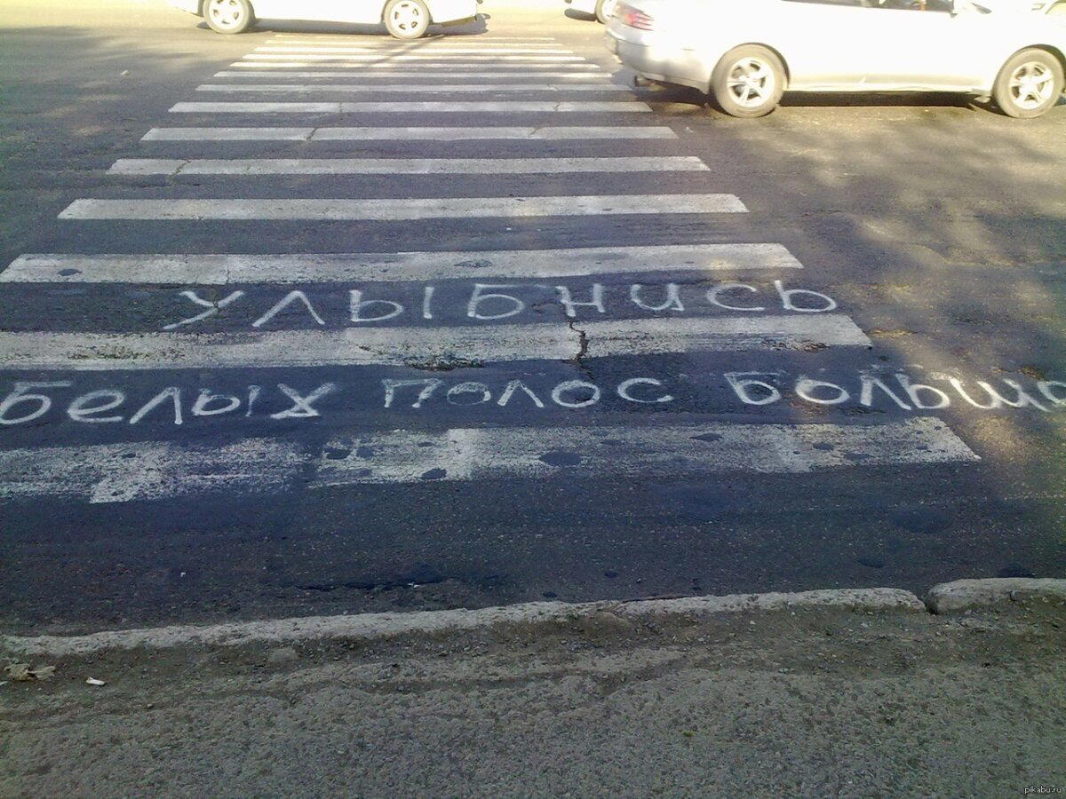 Зебра для оптимистов :)