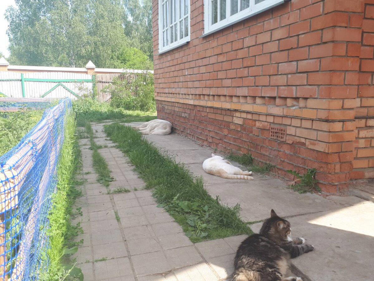 Воскресное утро.