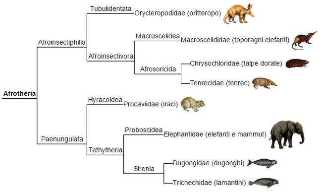Интересные факты о древней жизни 3