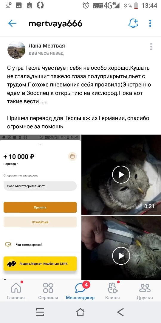 "Теслы" (совы) больше нет...