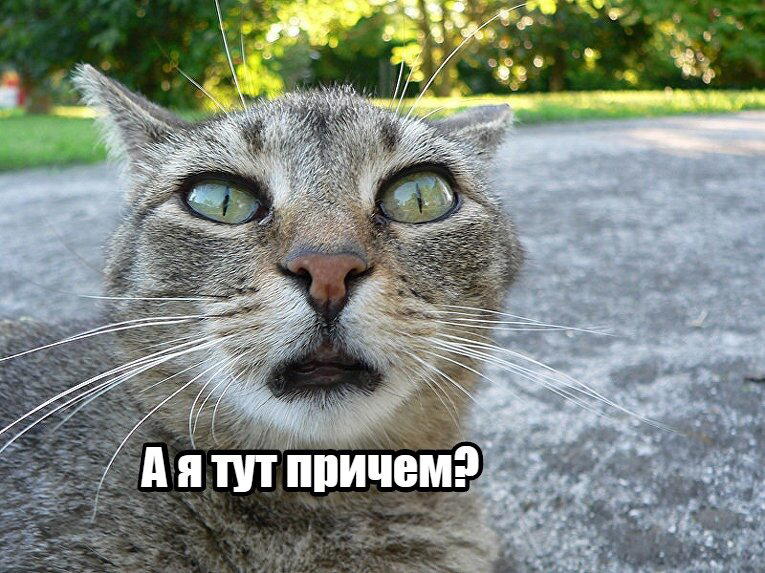 Сушка, сушка never changes