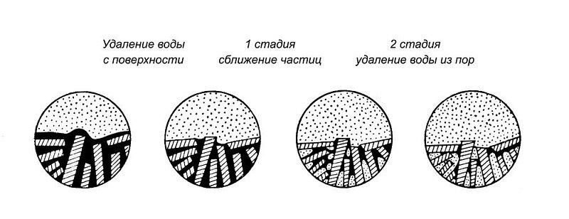 Сушка, сушка never changes