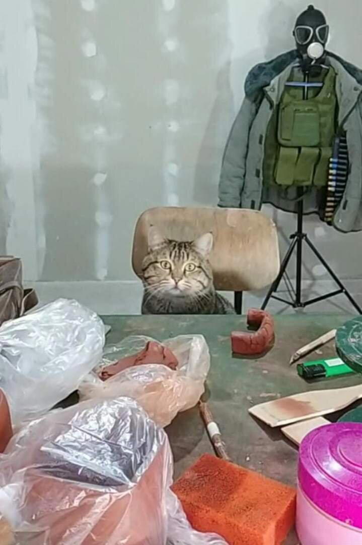 Кот который не лепит