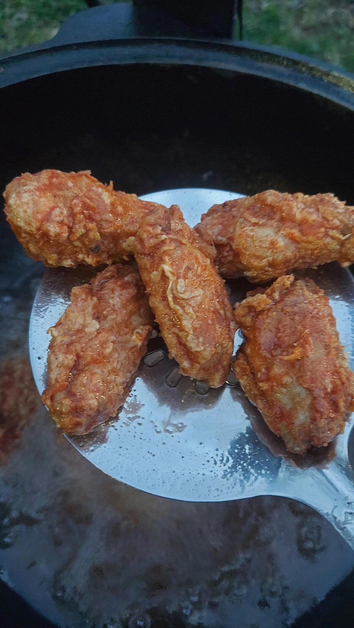 Крылья как в UFC