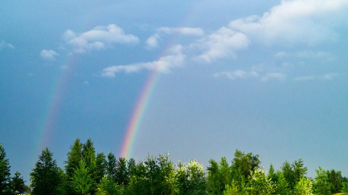 Ответ на пост «Rainbow»