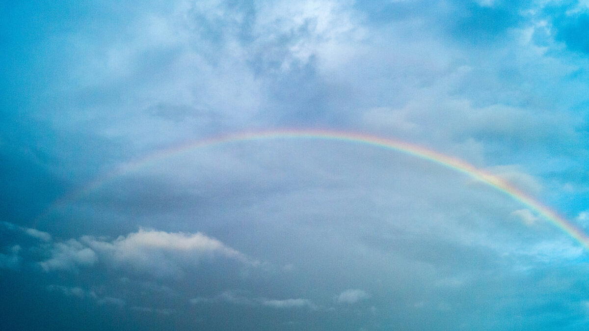 Ответ на пост «Rainbow»