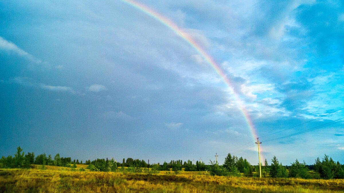 Ответ на пост «Rainbow»
