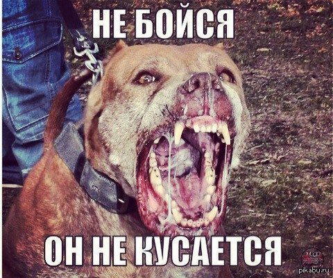 Совсем не страшно ведь
