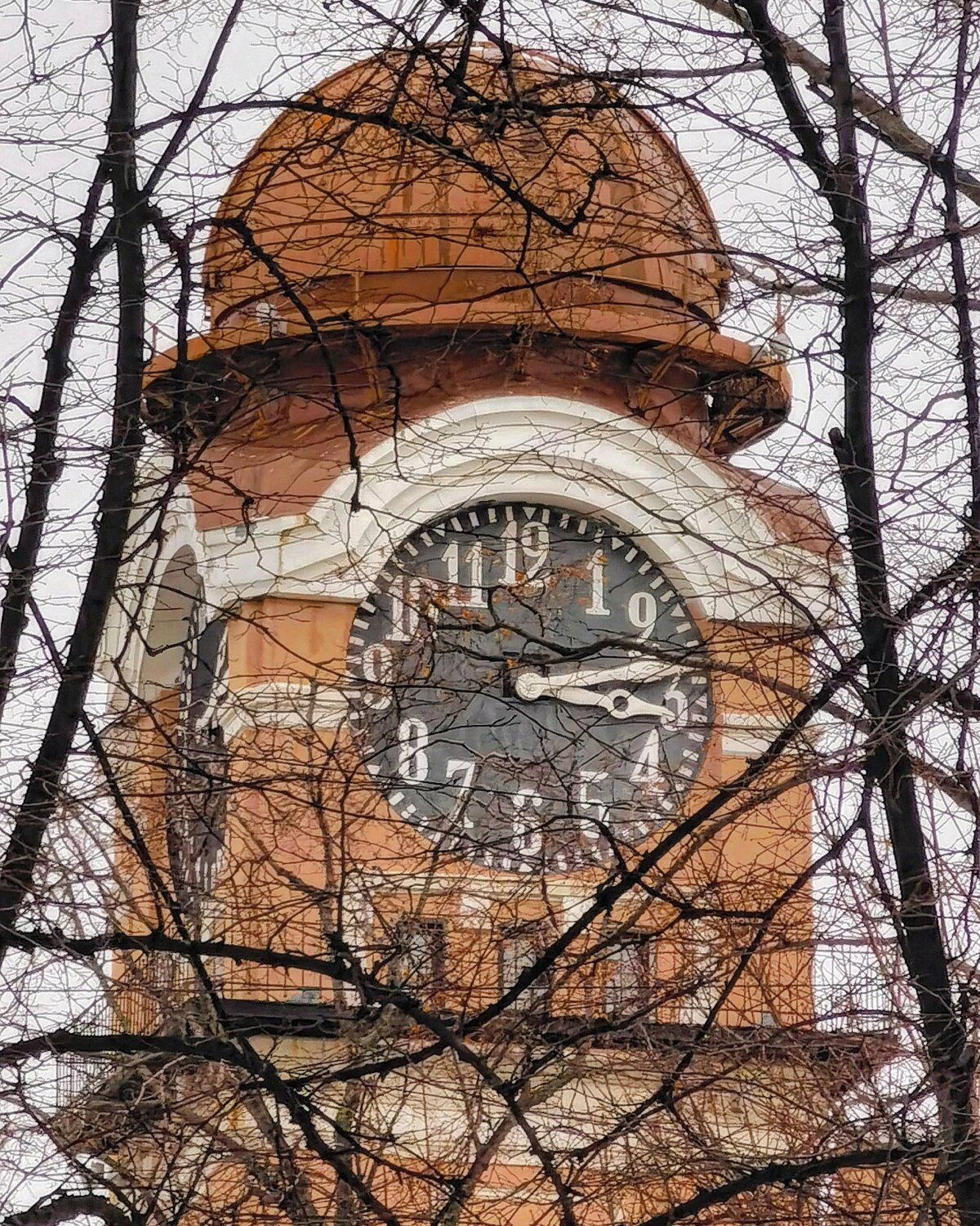 Кусочки Питера