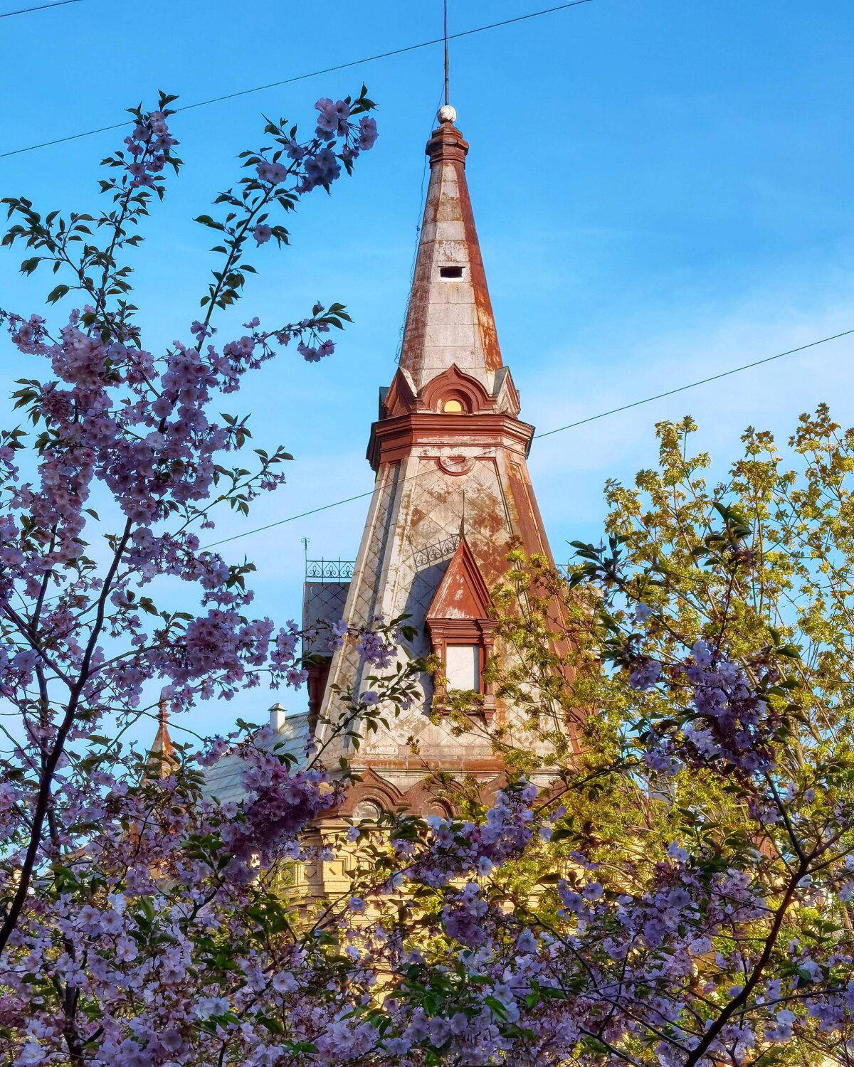 Немного лета