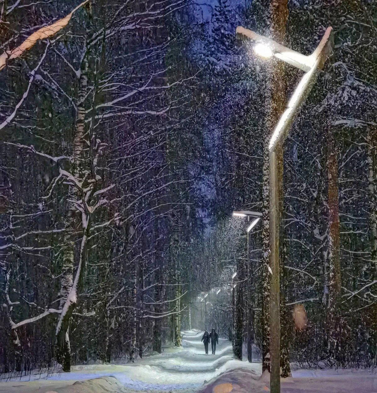 Фото с прогулок