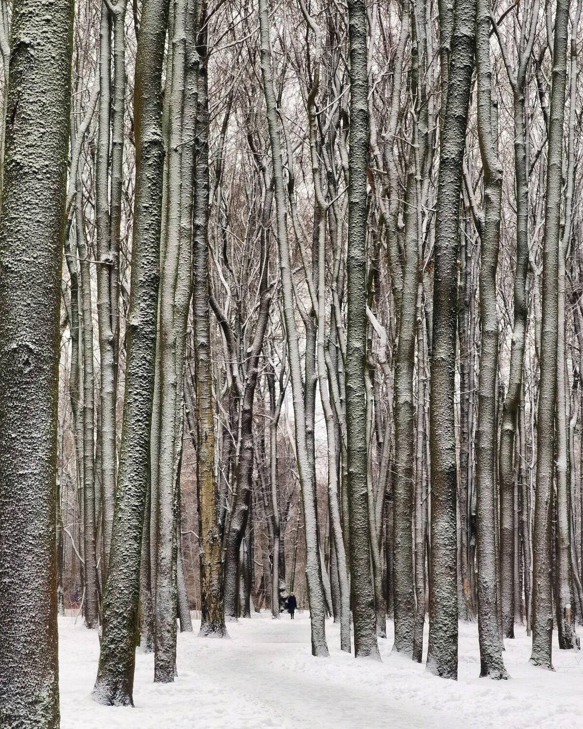 Фото с прогулок