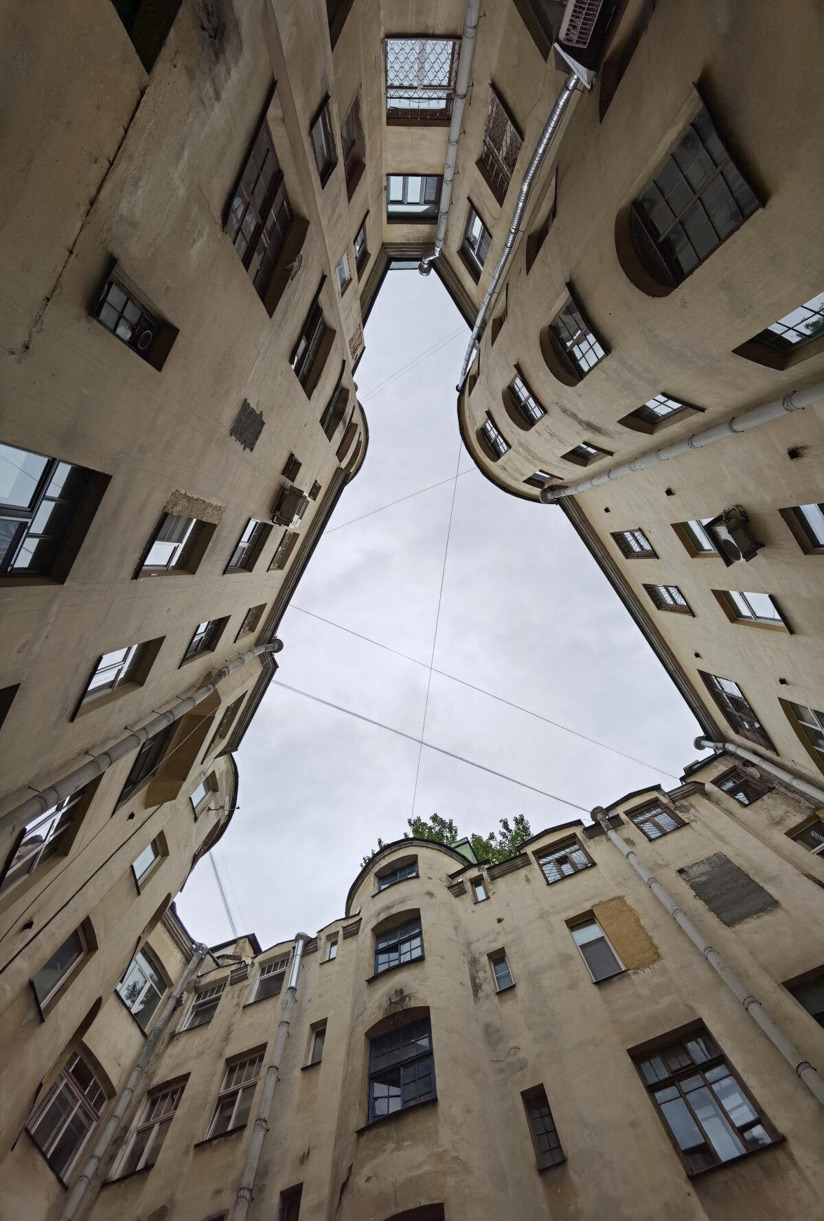 Фото с прогулок