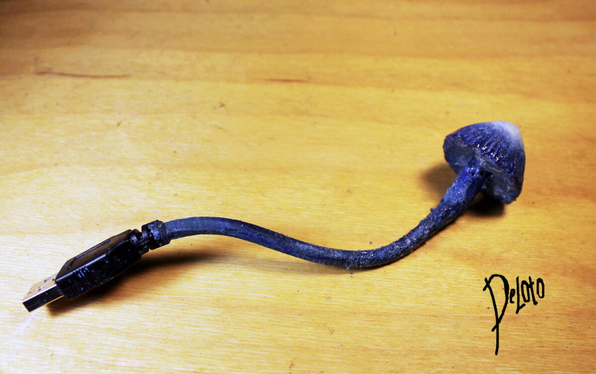 USB-копринус.