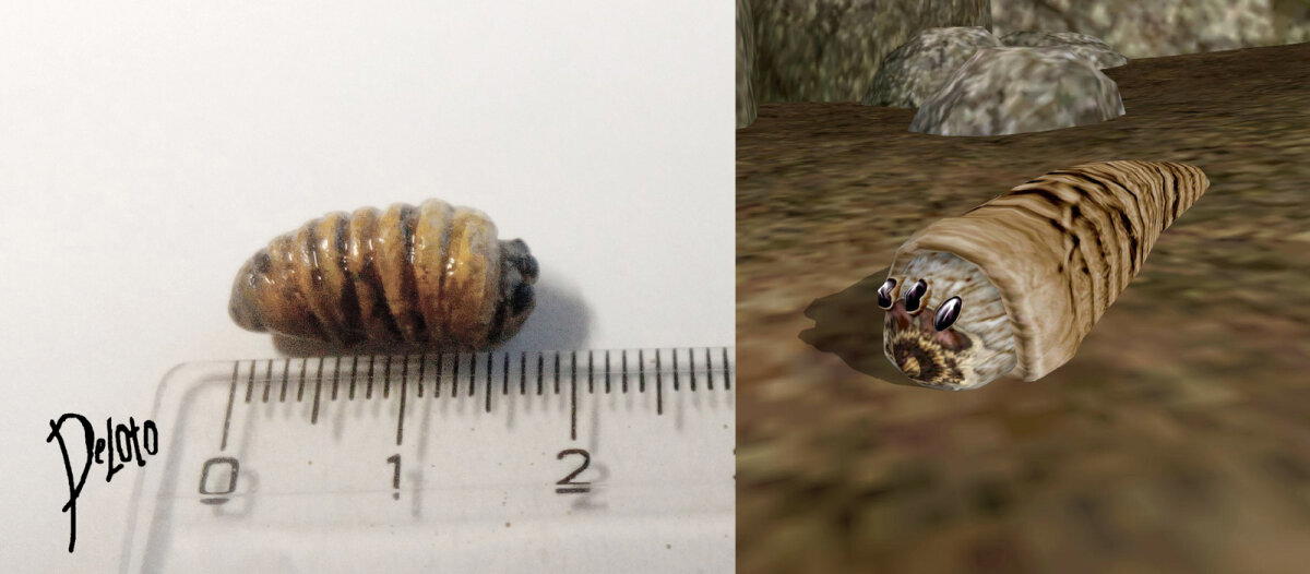Фуражир квама (The Elder Scrolls III: Morrowind)