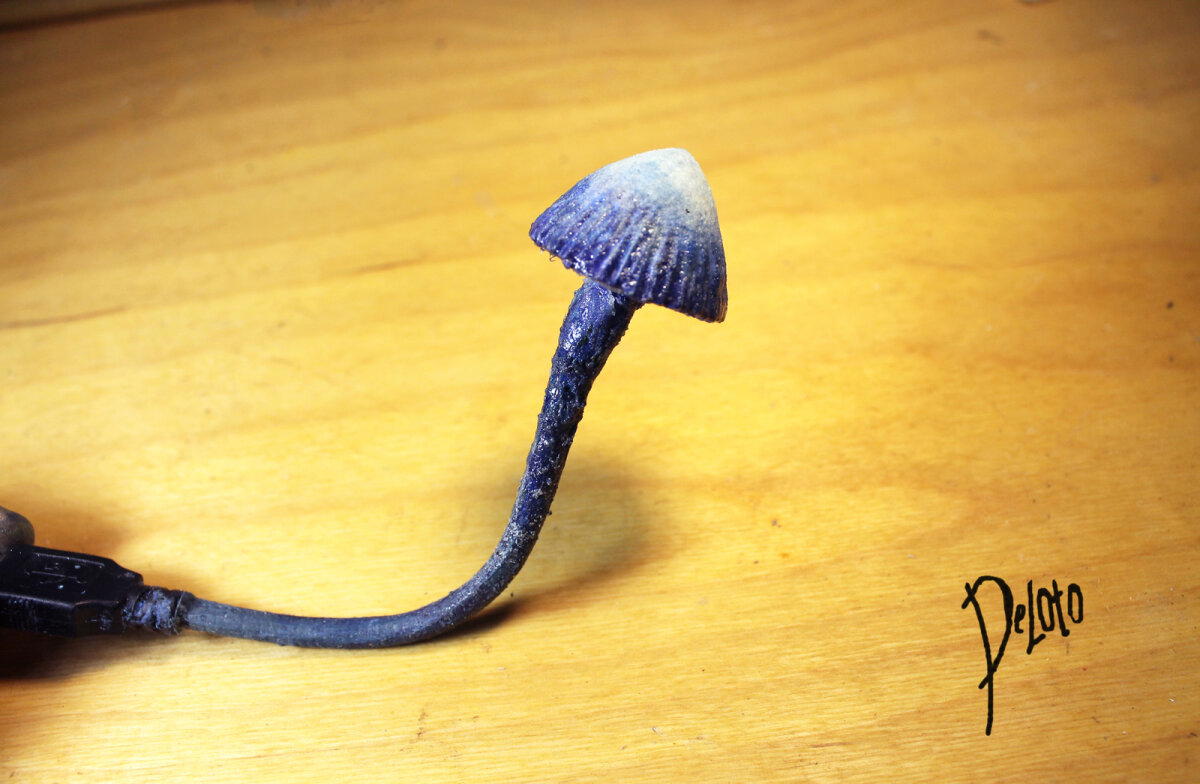 USB-копринус.