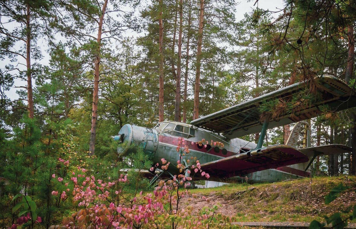 Ан-2. Последний герой российской авиации. Самый народный самолет и его непростая история