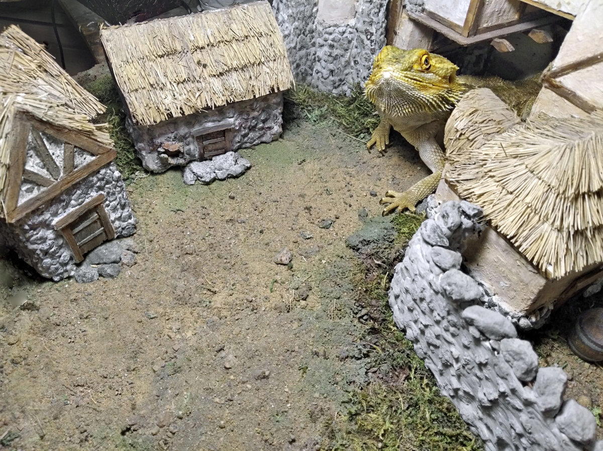 Дракон в Морровинде